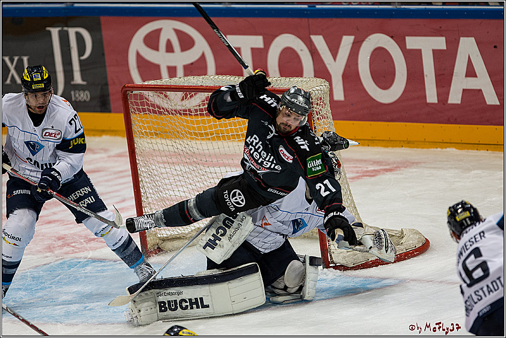 Koelner Haie - ERC Ingolstadt, 23.10.2016